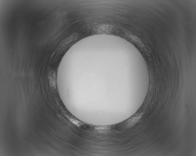 X0000084600240200702231044