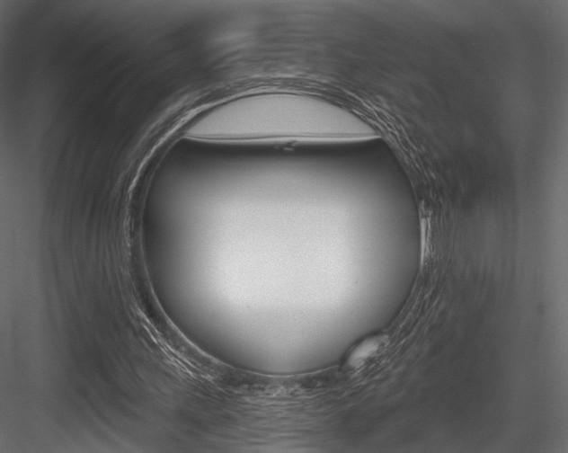 X0000084600243200702231044