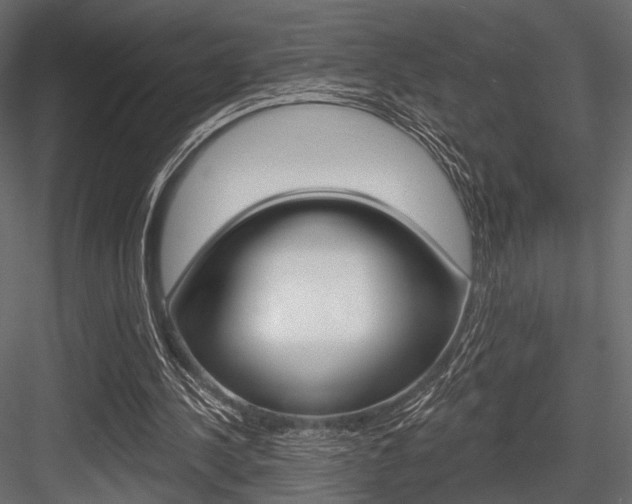 X0000084600244200702231044