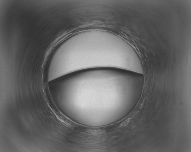 X0000084600245200702231044