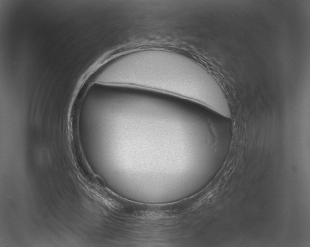 X0000084600246200702231044