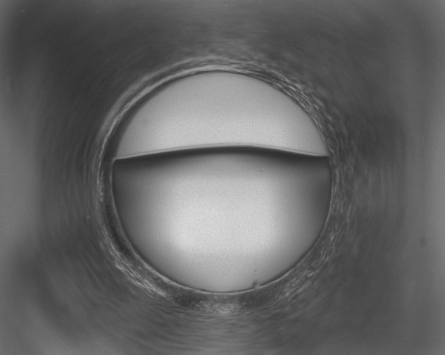 X0000084600247200702231044