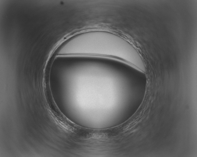 X0000084600248200702231044