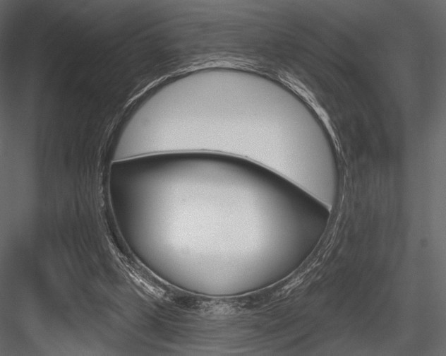 X0000084600249200702231044