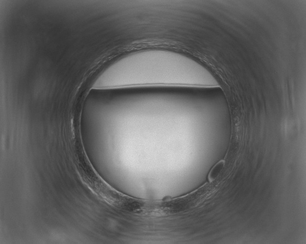 X0000084600254200702231044