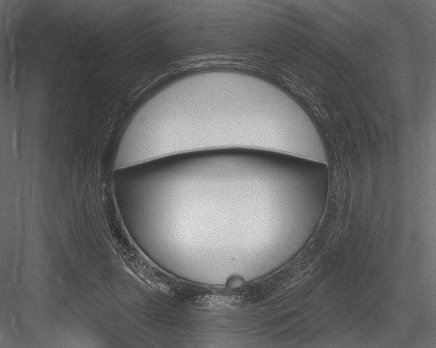 X0000084600255200702231044