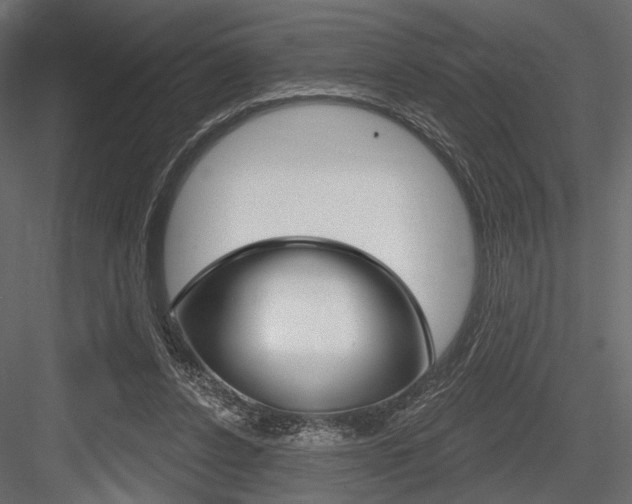 X0000084600256200702231044