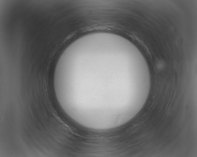 X0000084600260200702231044