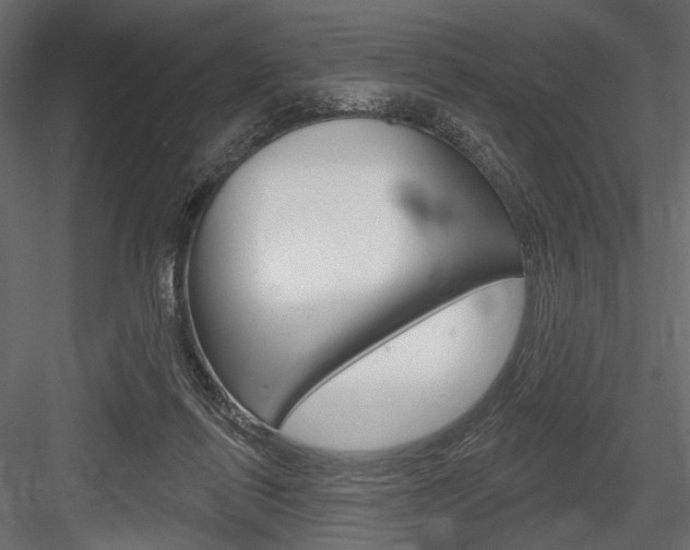 X0000084600262200702231044
