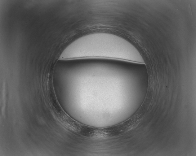 X0000084600263200702231044