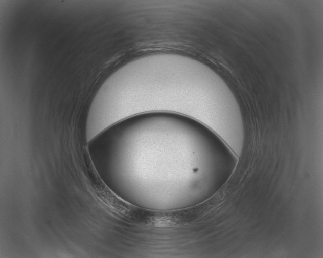 X0000084600264200702231044