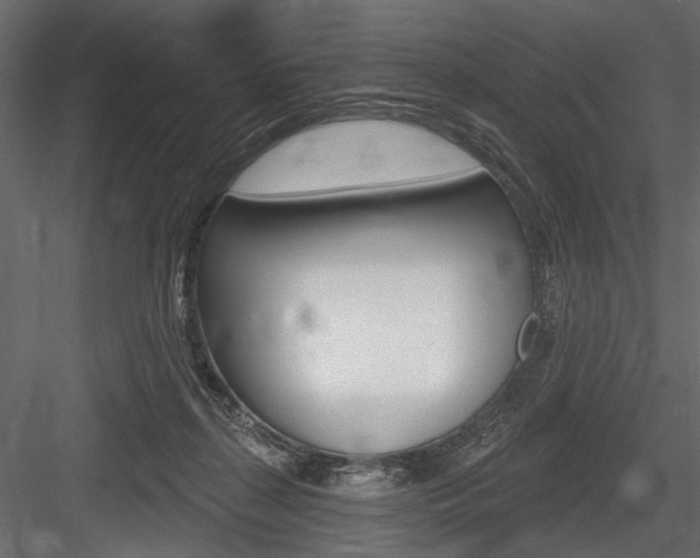 X0000084600267200702231044