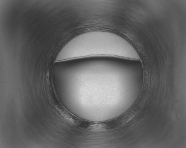X0000084600269200702231044