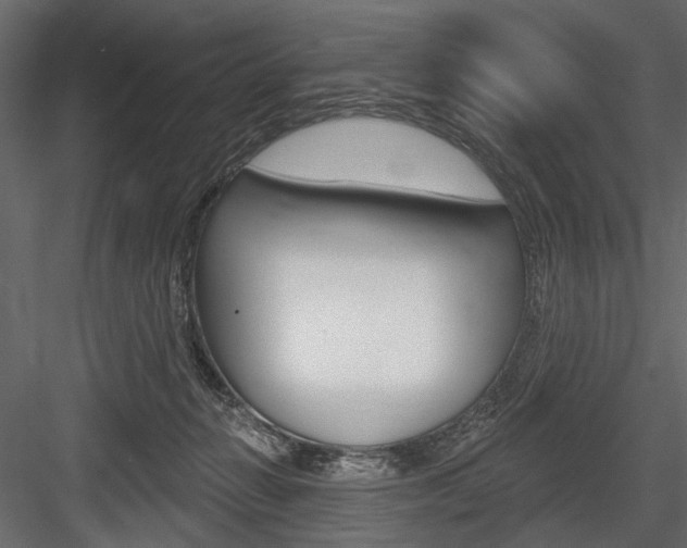 X0000084600270200702231044