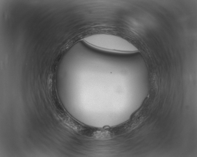 X0000084600271200702231044