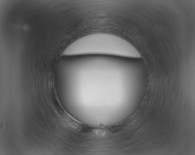 X0000084600272200702231044