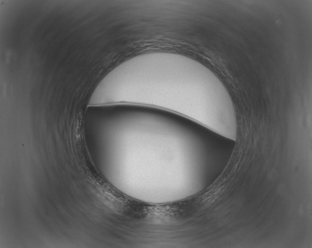 X0000084600273200702231044