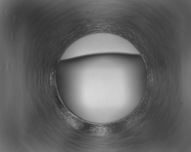 X0000084600276200702231044
