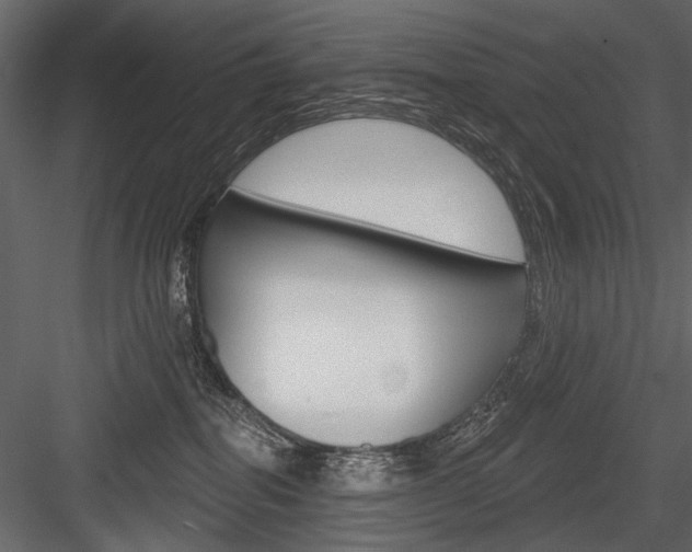 X0000084600282200702231044