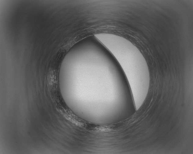 X0000084600284200702231044