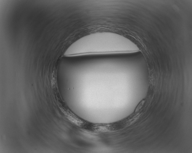 X0000084600285200702231044