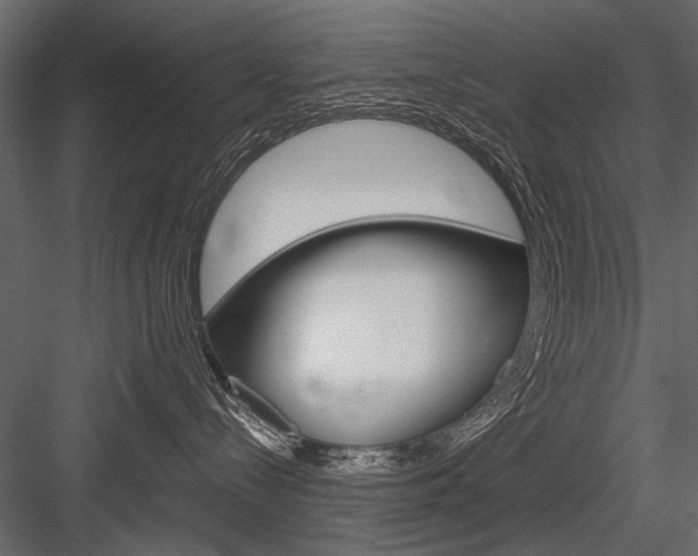 X0000084600288200702231044