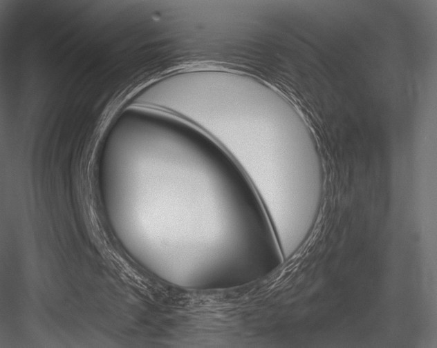 X0000084600289200702231043