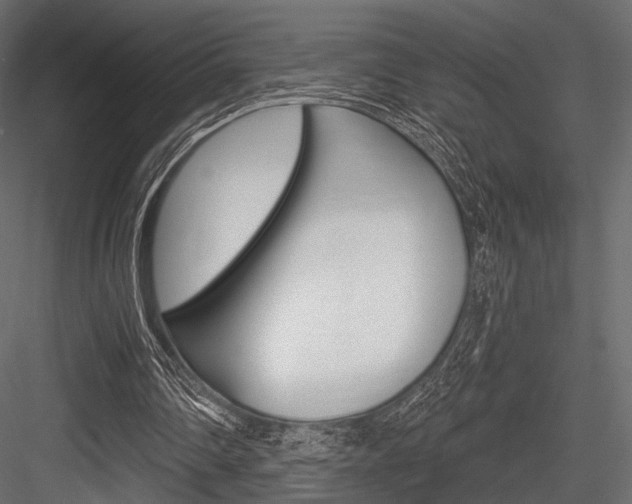 X0000084600290200702231043
