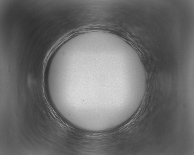 X0000084600293200702231043