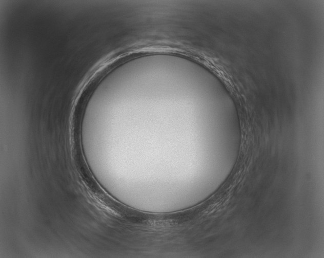 X0000084600296200702231043