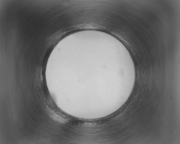X0000084600302200702231043