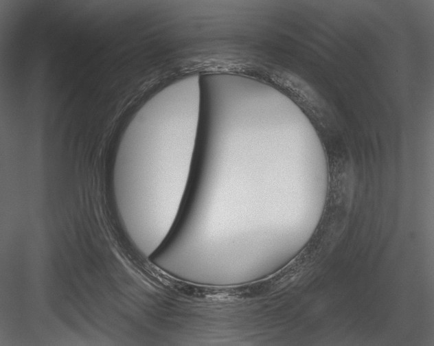 X0000084600310200702231043