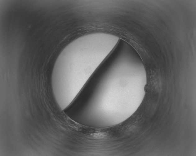 X0000084600312200702231043