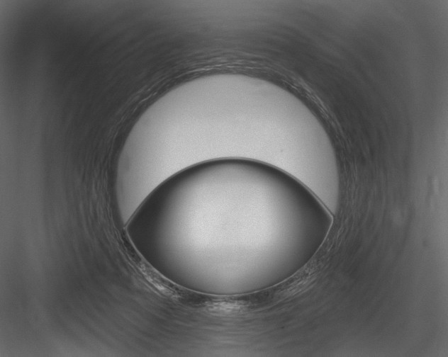 X0000084600313200702231043