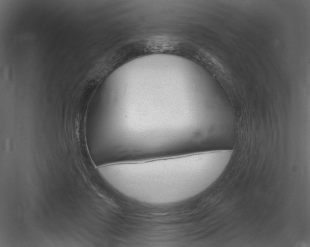 X0000084600315200702231043