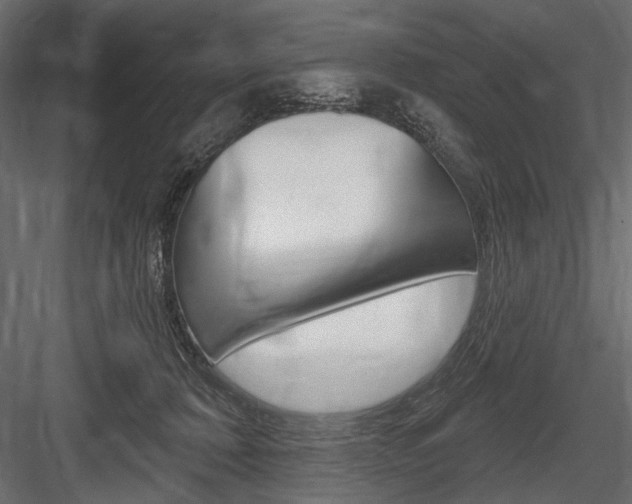X0000084600320200702231043