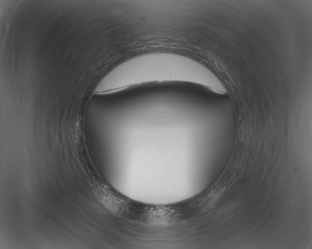 X0000084600321200702231043
