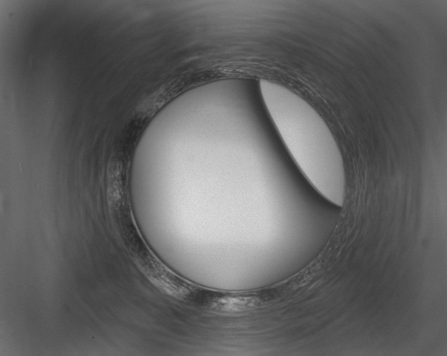 X0000084600323200702231043