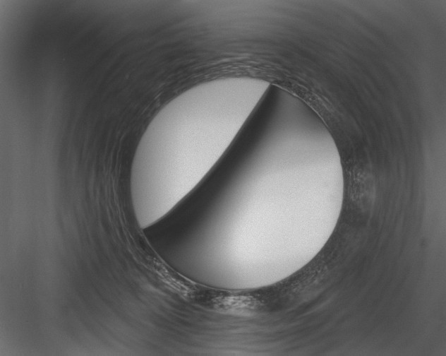 X0000084600324200702231043