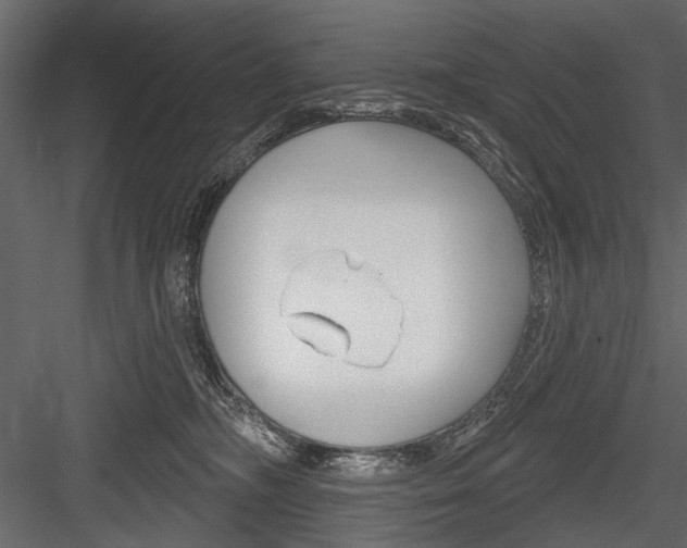 X0000084600326200702231043