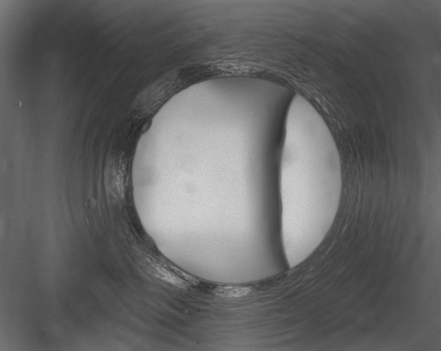 X0000084600334200702231043