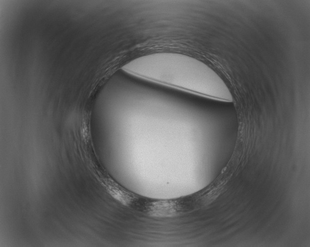 X0000084600335200702231043