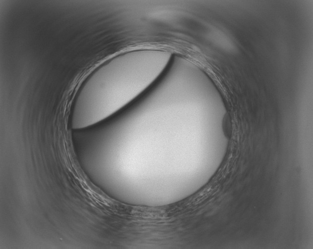 X0000084600337200702231042