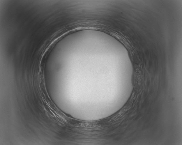 X0000084600338200702231042