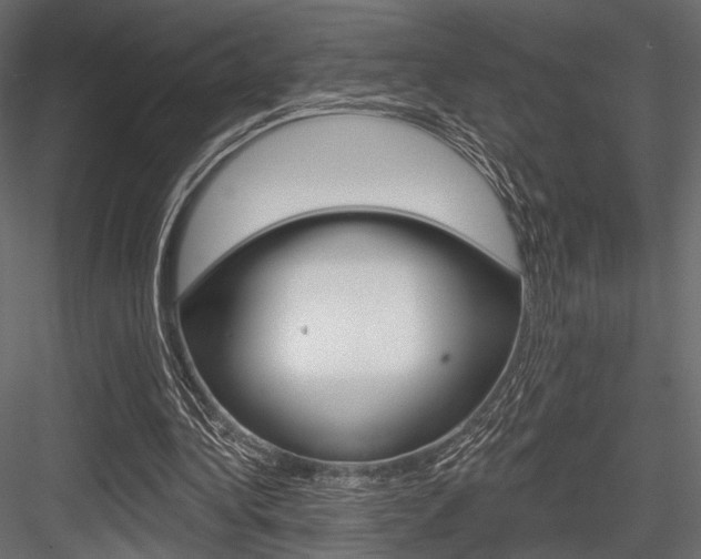 X0000084600340200702231042