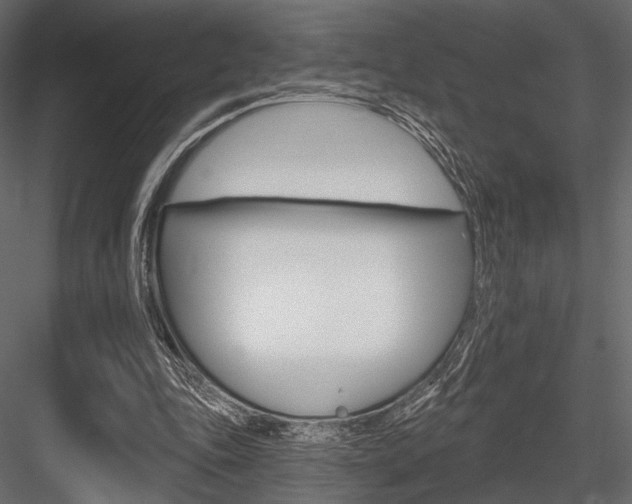 X0000084600343200702231042