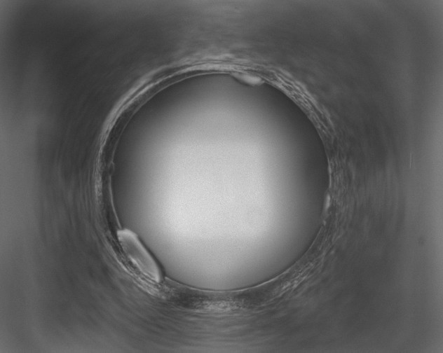 X0000084600344200702231042