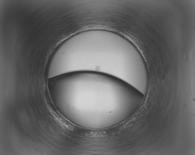 X0000084600345200702231042