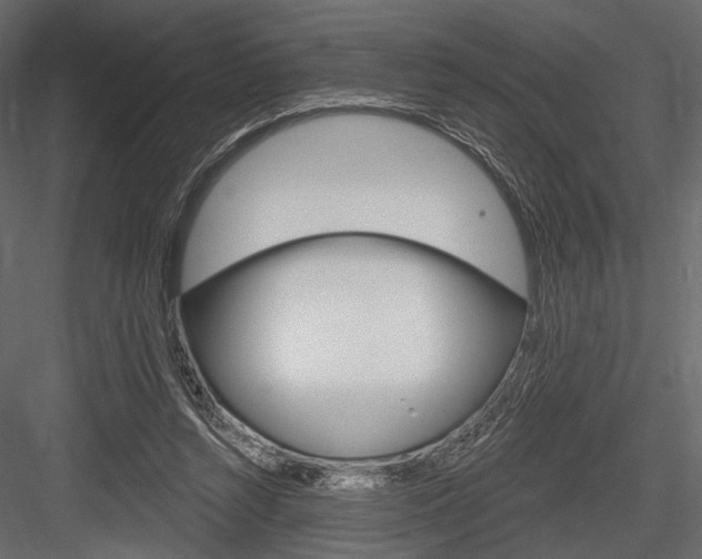 X0000084600352200702231042