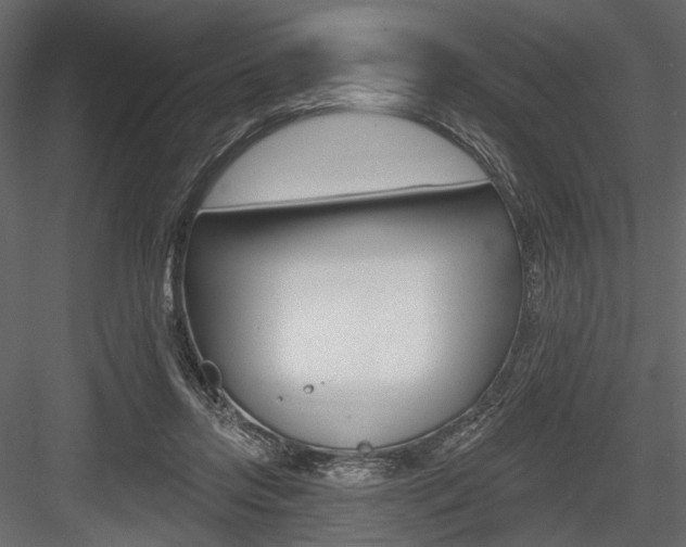 X0000084600358200702231042